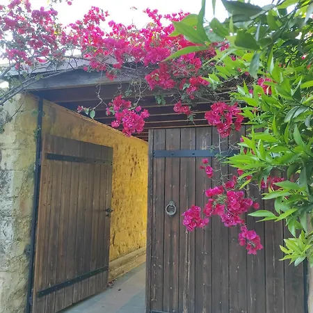 Alexandrou Villa